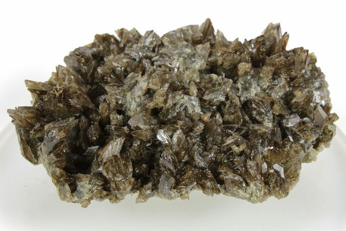 Lustrous Axinite Crystal Cluster - Dalnegorsk, Russia #259014